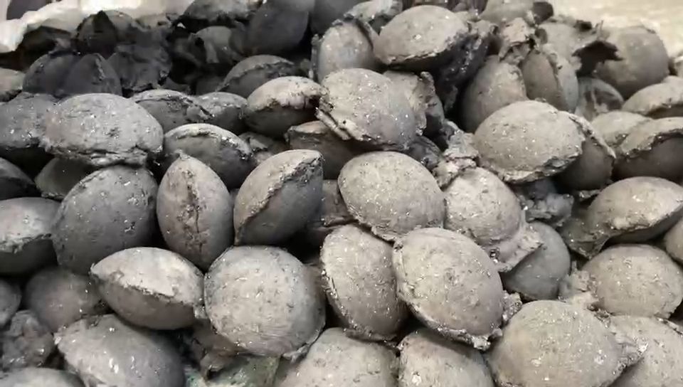 ����ճ�ϼ�����������ʲô����������������