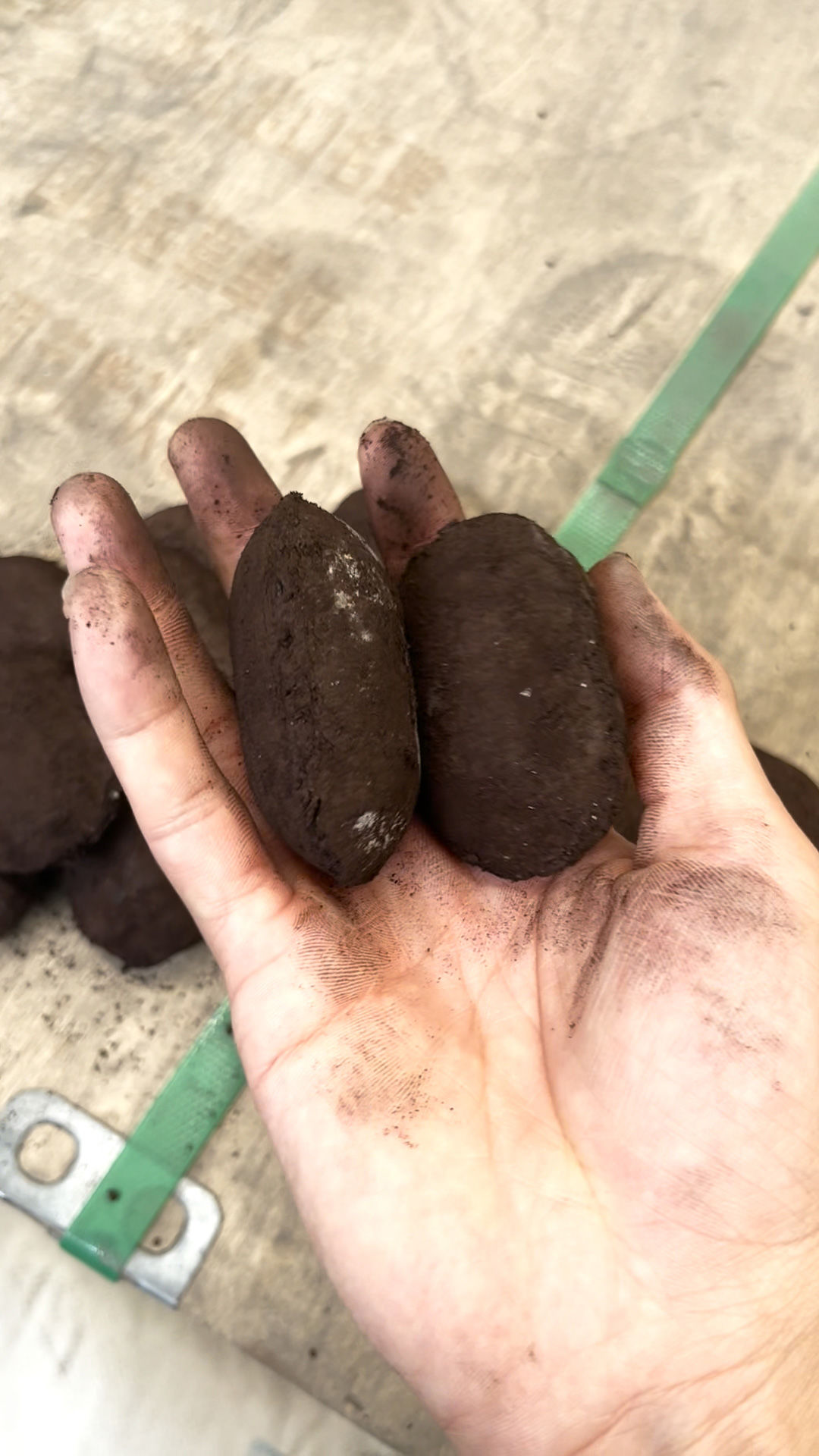 �����ں�ɵ�ʱ�����Ǳ��������������ۻ�