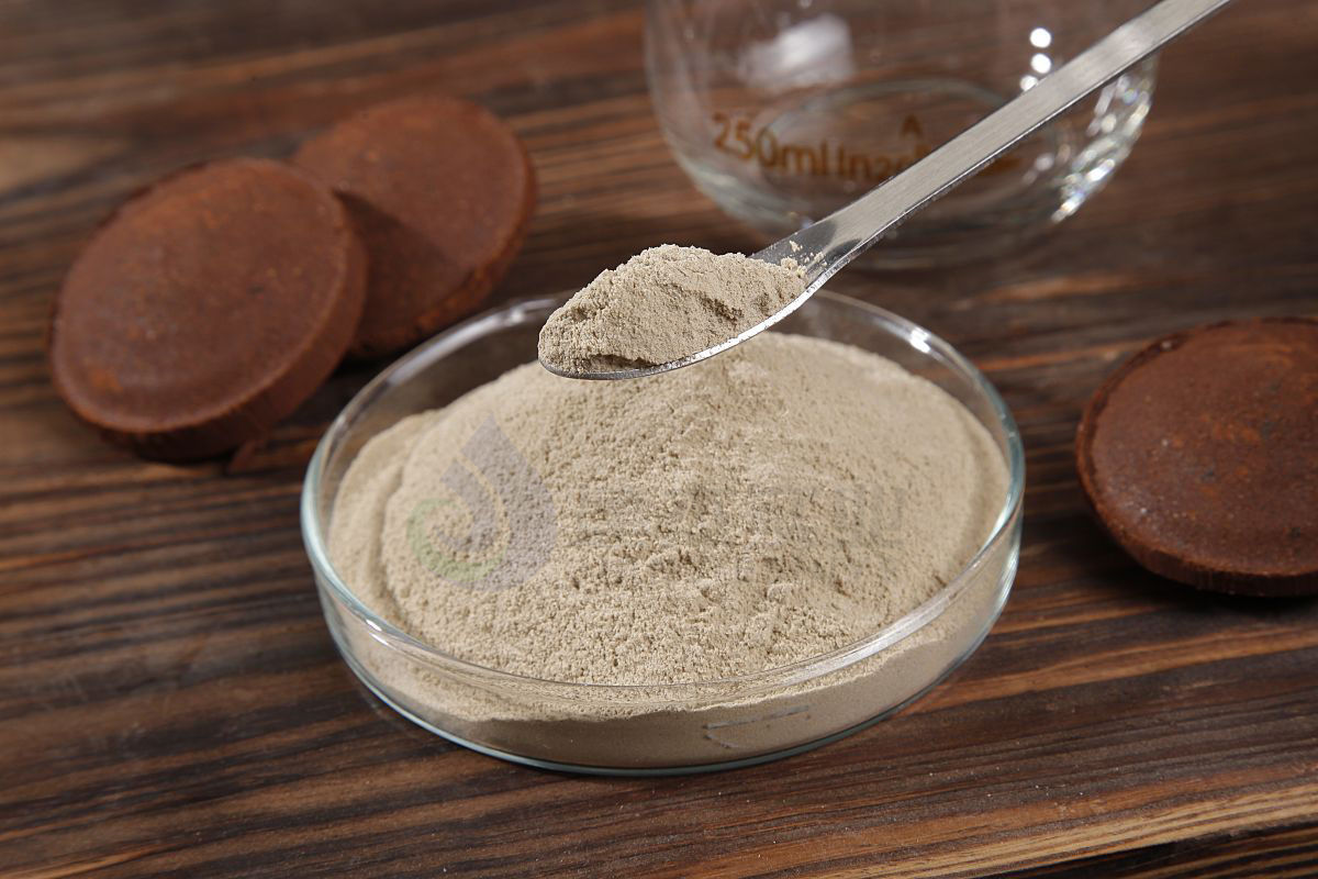 ת��¯������ʲô������������